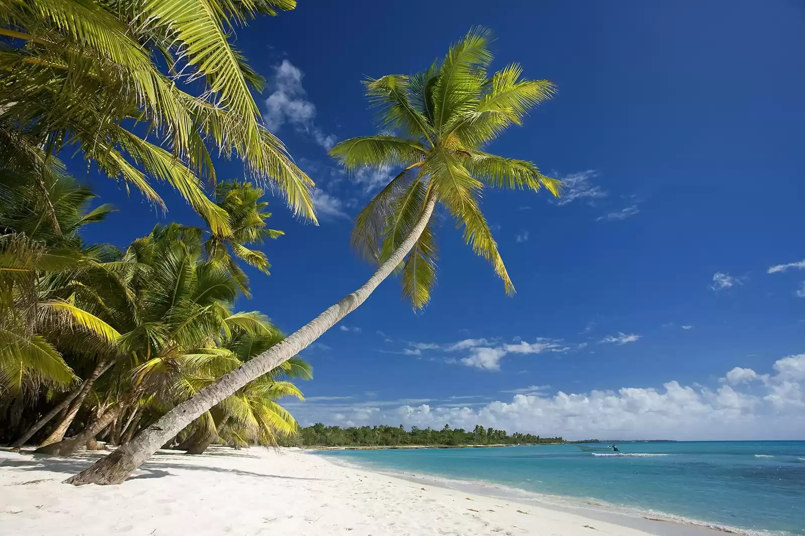 Croisières Caraïbes